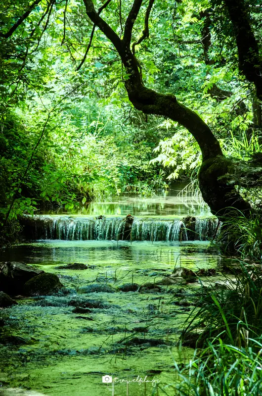 Stream Flow.
